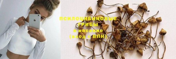 соль курить ск Михайловка