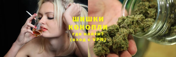 mdpv Михайловск