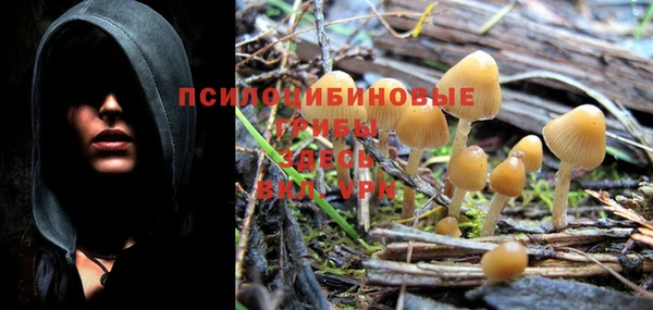 соль курить ск Михайловка