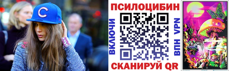 Псилоцибиновые грибы Psilocybine cubensis  Купить где  Пудож 